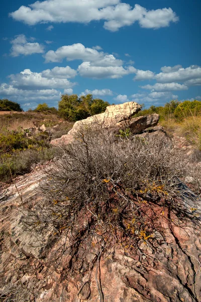 Landscape of Sao Bras de Alportel — Stock Photo, Image