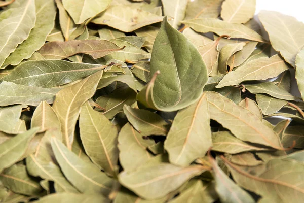 bay laurel leafs