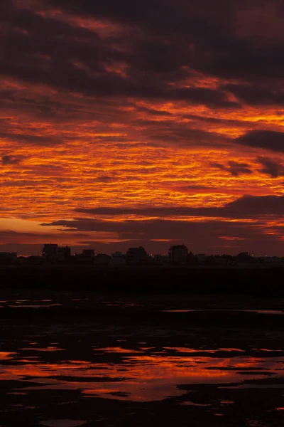 Natuurlijke moerassen bij zonsondergang — Stockfoto