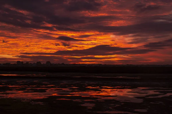 Pantanos naturales al atardecer — Foto de Stock