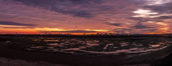 Natural marshlands at sunset — Stock Photo, Image