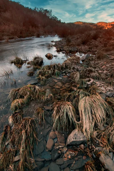 健康な田舎川 — ストック写真