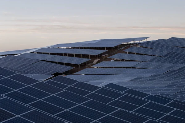 Field of solar panels — Stock Photo, Image