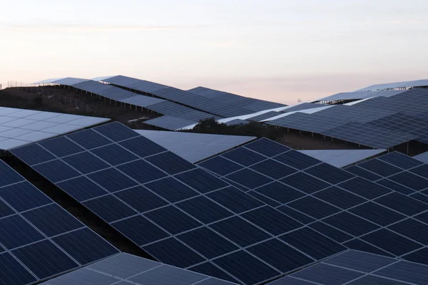 Field of solar panels — Stock Photo, Image