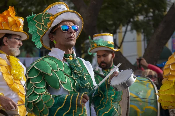 Loule Portugalia Luty 2020 Kolorowy Karnawał Karnawał Uczestnicy Festiwalu Parade — Zdjęcie stockowe