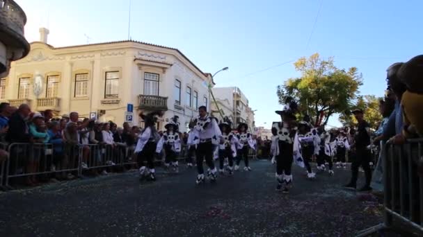 Loule Portugal Februari 2020 Färgglada Karneval Carnaval Paradfestivaldeltagare Loule Stad — Stockvideo