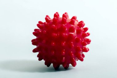 Kırmızı top köpek oyuncağı, açık mavi arka planda izole edilmiş kemirmek için..