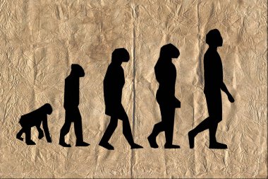 Evolution darwinism theory of man on very old wrinkle paper. clipart