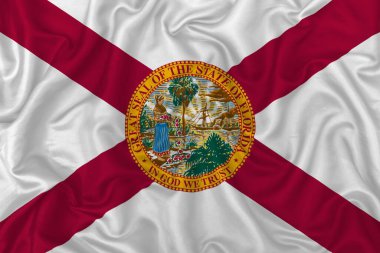 Dalgalı ipek kumaş arkaplanda Florida eyalet bayrağı.