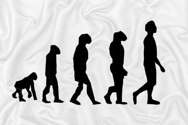 Evolution Darwinism Teori Människan Vitt Siden Satin Tyg Struktur — Stockfoto