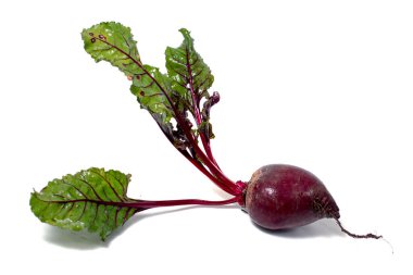 Marketten taze organik pancar kökü beyaz arka planda izole edilmiş..