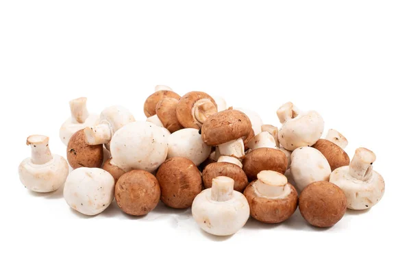 Witte Bruine Champignons Geïsoleerd Een Witte Achtergrond — Stockfoto