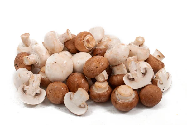 Cogumelos Brancos Castanhos Isolados Sobre Fundo Branco — Fotografia de Stock