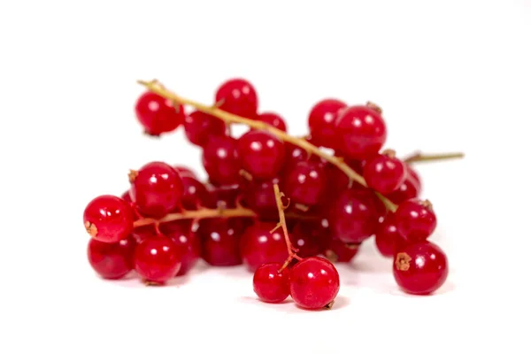 Close View Some Fresh Red Currant Berries Isolated White Background — Stock Photo, Image