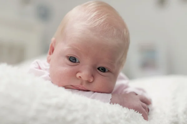 Schattige schattig pasgeboren baby portret — Stockfoto