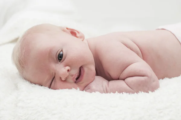 Χαριτωμένο αξιολάτρευτο μωρό νεογέννητο πορτρέτο Royalty Free Φωτογραφίες Αρχείου