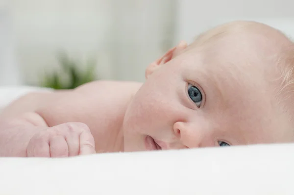 Schattige schattig pasgeboren baby met blauwe ogen portret — Stockfoto