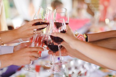 Kutlama canlı grup içinde geçmiş için şarap ile toasting arkadaş grubu