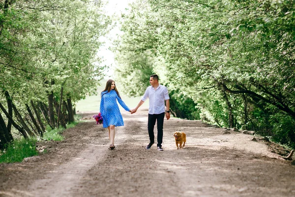 Ciężarna dziewczyna i jej mąż spacerują w lesie z psem, modna młoda para, wiosna — Zdjęcie stockowe