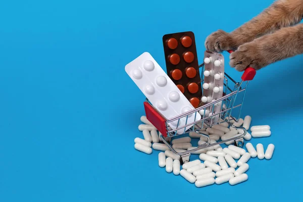 Mavi arka plandaki bakkal sepetindeki hastalıkların tedavisi, bir sepet hapı iten kedi bacakları, virüsler için tedavi alma konsepti, hastalıkların tedavisi, dağınık tabletler.