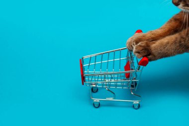 Mavi arka plandaki bakkal sepetindeki hastalıkların tedavisi, bir sepet hapı iten kedi bacakları, virüsler için tedavi alma konsepti, hastalıkların tedavisi, dağınık tabletler.