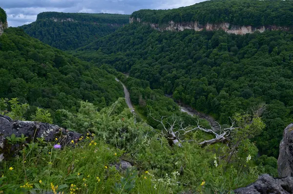 Прекрасний пейзаж у гірській долині. Літнє зелене листя — стокове фото