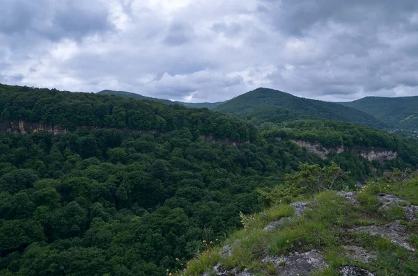 Krásná krajina v horském údolí. Letní zelené listoví o — Stock fotografie