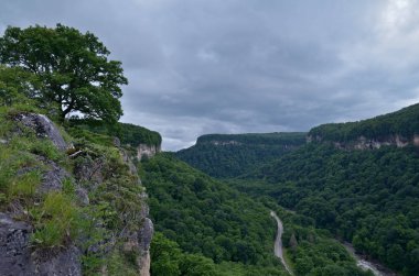 Güzel manzara dağ Vadisi. Yaz yeşil yeşillik o