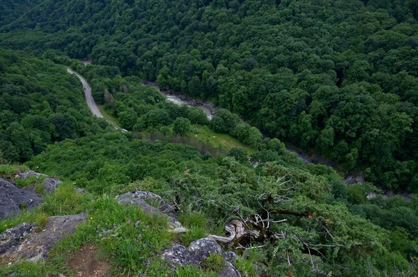 Beautiful landscape in a mountain valley. Summer green foliage o — Stock Photo, Image