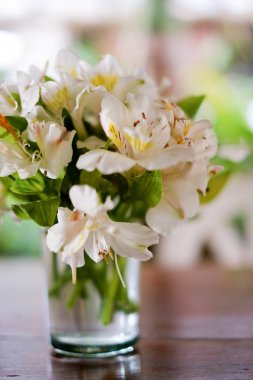 Cam masa üst dekorasyon taze güzel beyaz çiçek