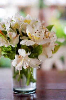 Cam masa üst dekorasyon taze güzel beyaz çiçek