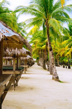 Nipa kulübelerde avuç içi ile çevrili beyaz mercan kum plaj