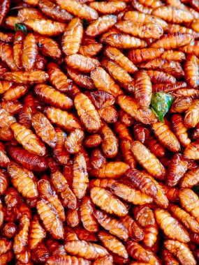 Kızarmış böcekler sokak gıda tezgahları Asya