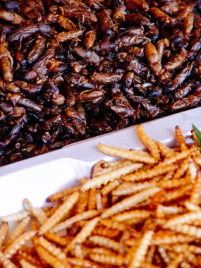 Kızarmış böcekler sokak gıda tezgahları Asya