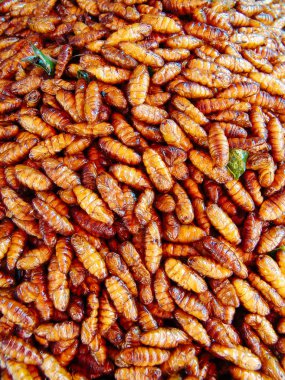 Kızarmış böcekler üzerinde Asya sokak tezgahları