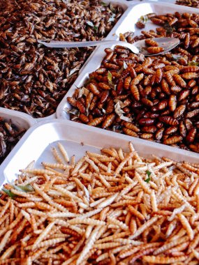 Kızarmış böcekler sokak gıda tezgahları Asya