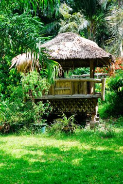 Güzel güneş gölge cottage ormanda