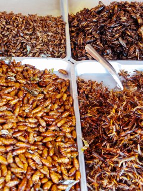 Kızarmış böcekler sokak gıda tezgahları Asya