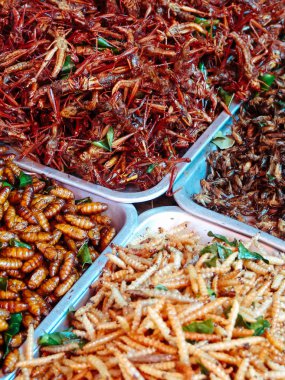 Kızarmış böcekler sokak gıda tezgahları Asya