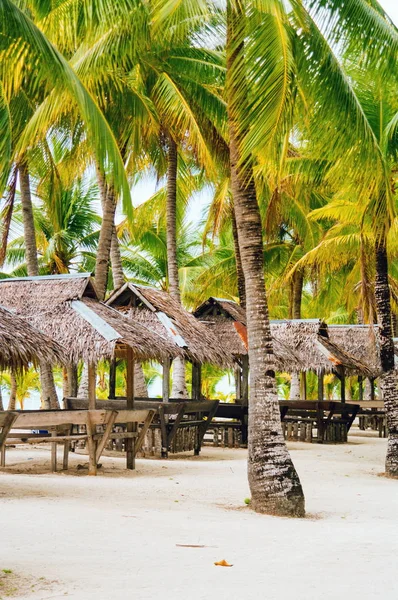 Cabañas de Nipa en la playa de arena blanca de coral rodeada de palmeras —  Fotos de Stock