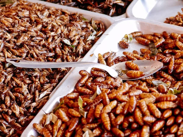 Gebakken insecten op de straatvoedsel kraampjes van Azië — Stockfoto