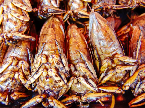 Insetos fritos nas barracas de comida de rua da Ásia — Fotografia de Stock