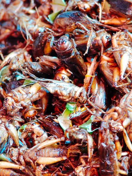 Insetos fritos nas barracas de comida de rua da Ásia — Fotografia de Stock