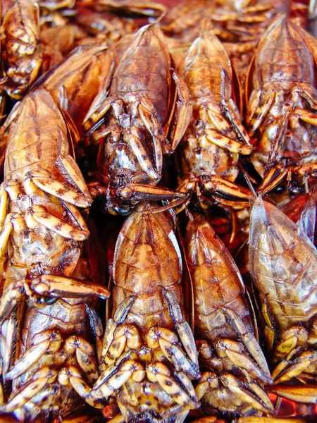 Gebakken insecten op de straatvoedsel kraampjes van Azië — Stockfoto