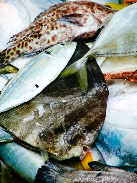 Pescador captura de peixes tropicais frescos. mercado matutino na Ásia — Fotografia de Stock