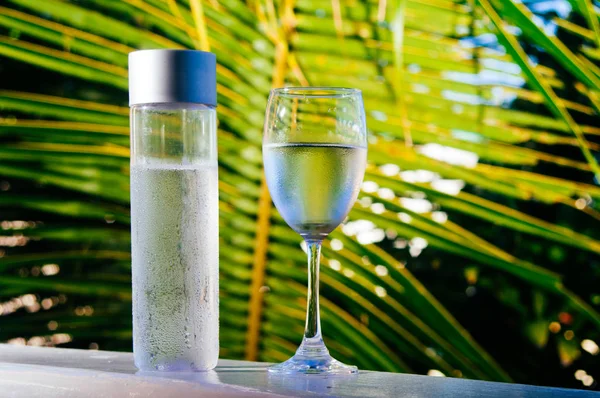 A bottle and glass of fresh drinkable water in tropical environment