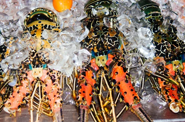 Lagostas frescas em exposição no restaurante. Captura recente de lagostas para turismo gourmet na Ásia — Fotografia de Stock