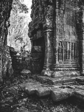 Muhteşem tropik beyaz kum plaj 