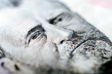 Bir Elli dolarlık banknot makro fotoğraf 