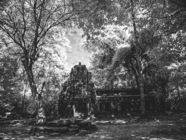 Muhteşem tropik beyaz kum plaj 